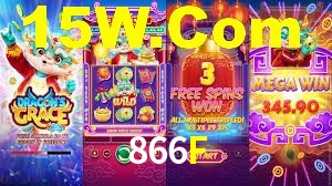 866F App Interface